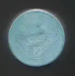 Coin Tails.webp