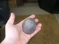 Ball.webp