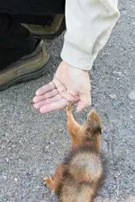 highfive_34304 (2).webp