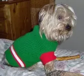 Snooper 007.webp