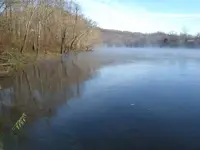 rivermorning.webp