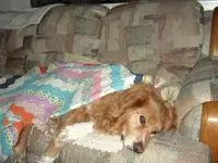 charlie1 (Medium).webp