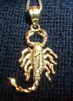 scorpion1.webp