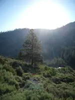 Sierras.webp