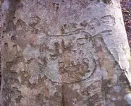 tree4.webp