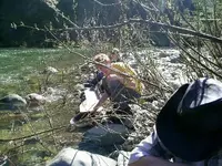 Gold Trip 009.webp