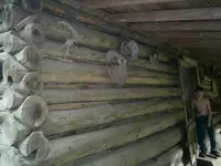 Gold Trip 047.webp