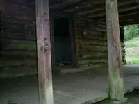 Gold Trip 044.webp