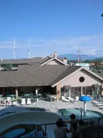 100_0001.webp