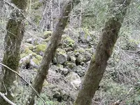 Gold Trip 055.webp Gold Trip 055.webp