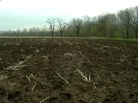 4-19-07 007.webp