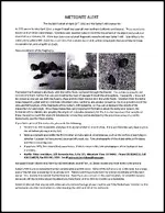 MFlyer.webp