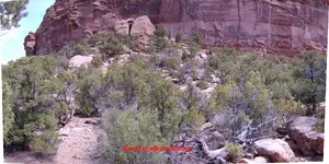 WestFaceButteASlope.webp