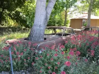 Cars 001.webp