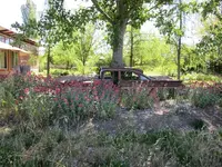Cars 002.webp