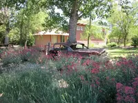 Cars 006.webp