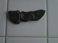 Metal Object from Largo Park.webp