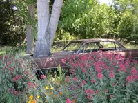 Cars 008.webp