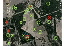 Homestead-Tx7.webp