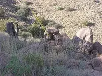 nm 82611 010V mmmmmmmmmmmmmmmmmmmmmmmmmmm.webp