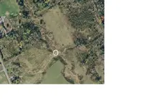 Horsedowsed.webp