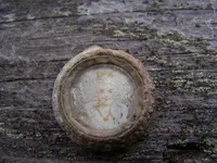 may 2012 031.webp