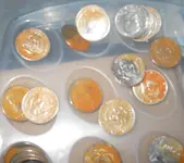 DSCN5066.webp