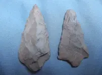 DSCF0056.webp