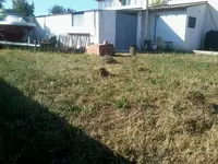 2012-05-22 18.14.38.webp