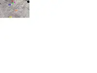 The SPOT.webp