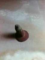 image-3127012665.webp