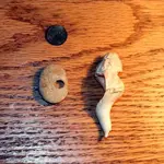 WHELKSTONE 008.webp
