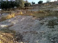 09062012316-Amjad.webp 09062012316-Amjad.webp