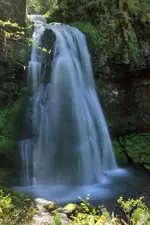 IMG_4751_2_3_fused.webp