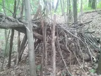 2012-05-13 16.49.32.webp