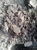 WP_000048.webp