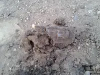 WP_000050.webp