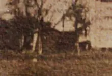 little-house-on-left.webp
