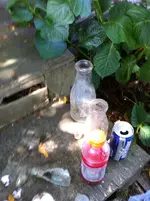 DIGN (7).webp