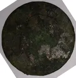 coinFace.webp