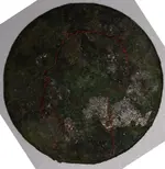 coinFace red.webp