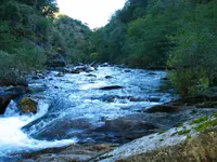184_8477.webp