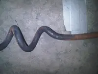 IMG00008-20120701-1725.webp