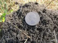 Finds June 10th 2012 016.webp