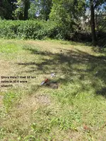 Finds June 10th 2012 020.webp