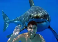 Shark-Attack.webp