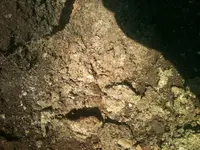 photo 6.webp