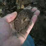 100_3812.webp