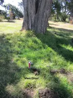 Median Strip finds 6-23-12 006.webp