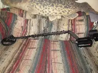 Colt 003.webp